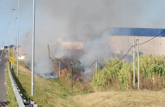 Foto: Eduardo Castro