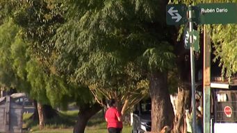 beba de 18 meses que sufrio ataque a balazos se recupera favorablemente; salio de cti y esta en sala