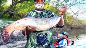 para mi se habia enganchado un palo porque no me trabajo, conto el pescador que saco una tararira de casi un metro