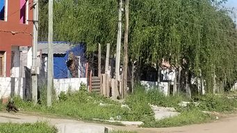 imputaron a la mujer que mato a un hombre a golpes en la cabeza