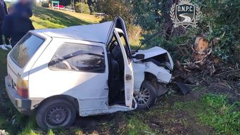 Policía Caminera