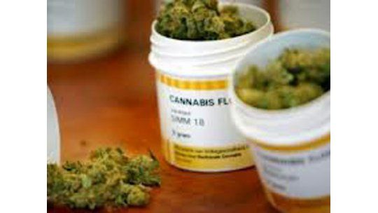 Canadá, el primer interesado en adquirir la marihuana uruguaya