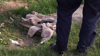 Foto: Subrayado. Una de la armas incautadas tras el tiroteo en el barrio 1° de Mayo.