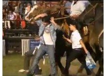 Activistas protestaron en la Criolla por maltrato de animales