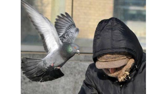 Un martes frío, pero mejorando; aumento progresivo de temperatura