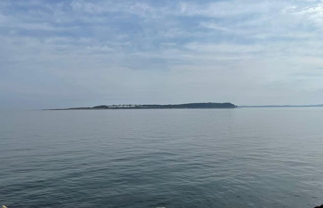 WhatsApp Image 2022-06-26 at 9.31.39 AM.jpeg