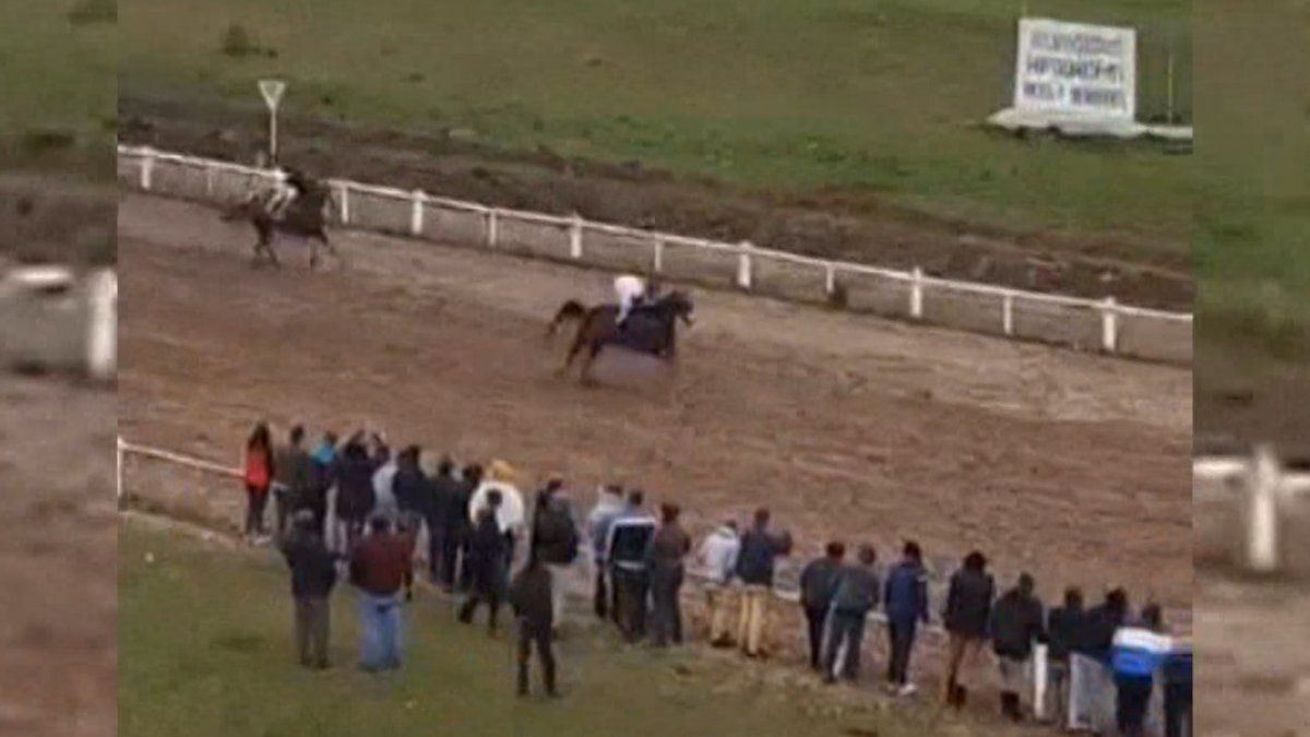 Pasó la meta y se desplomó: un caballo murió tras una carrera en hipódromo  de Mercedes