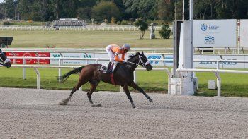 Subrayado | MICRO TURF 18 D ABR