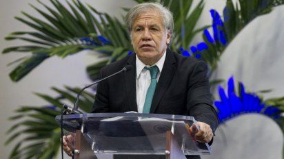 almagro aconseja a zapatero que no sea imbecil y lo acusa de defender dictadura venezolana