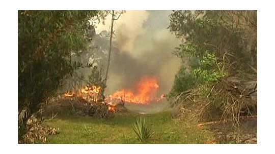 incendio forestal