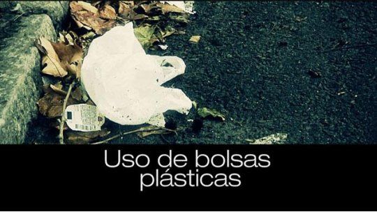 bolsas