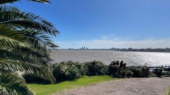 domingo calido a caluroso con cielo ligeramente nublado, la maxima sera de 37° en el norte del pais