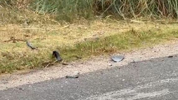 Foto: Cld TV Libertad