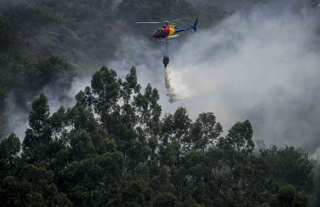 Incendios forestales en Portugal afp.jpg