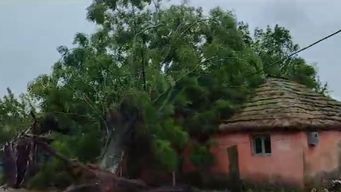 temporal en paysandu: 30 familias perdieron todo, dijo el intendente