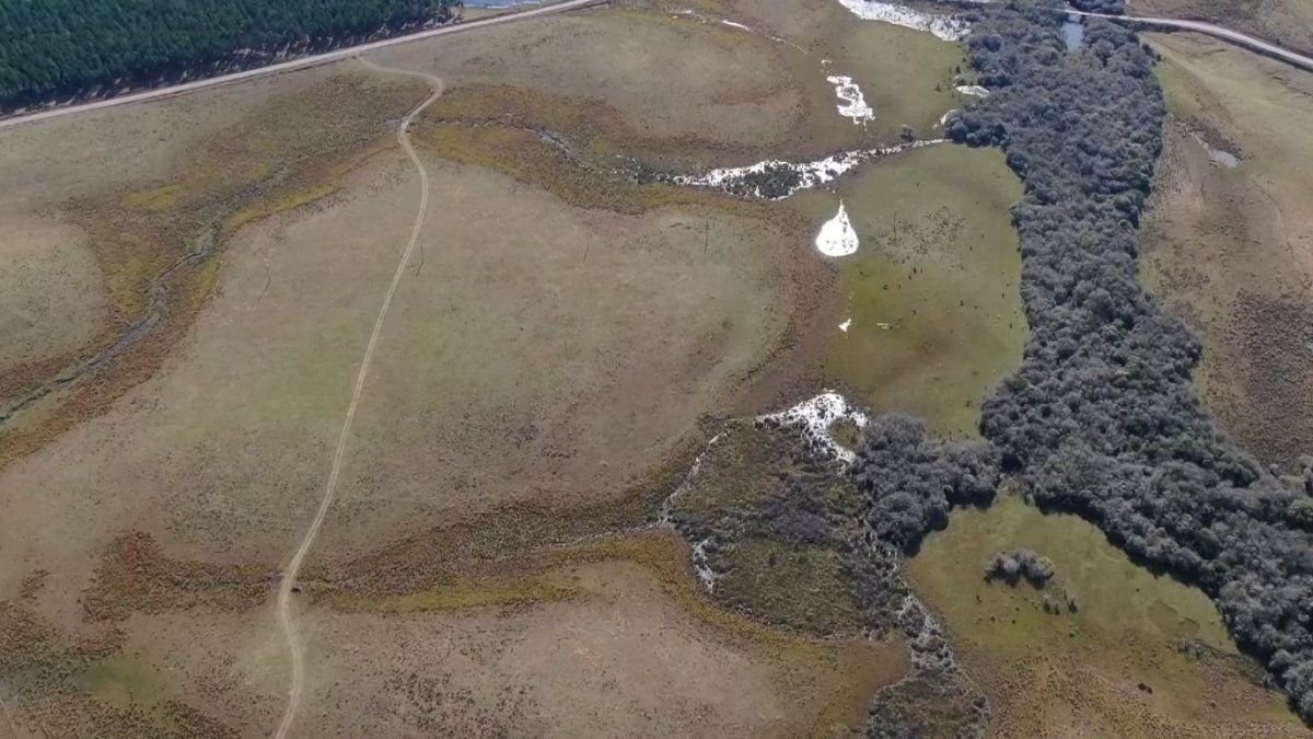 Colonización compró un campo de 900 hectáreas en Paysandú y prevé adquirir dos más