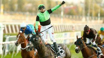 Subrayado | MICRO TURF 11 D MARÇ