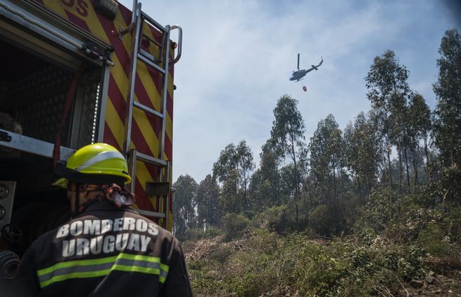 INCENDIO CERRO DEL TORO FOCO UY (4).jpeg