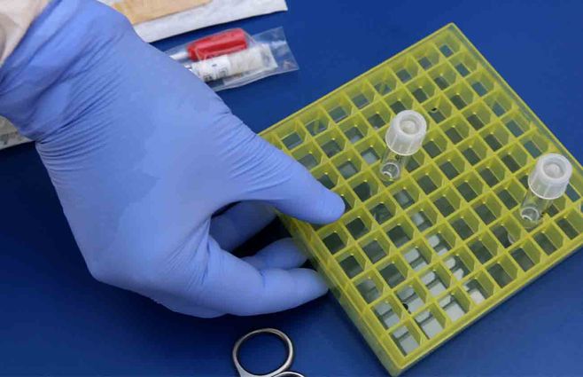 COVID-19-coronavirus-test.jpg