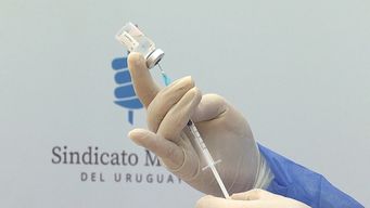 campana de vacunacion contra el virus sincicial respiratorio: 238 embarazadas ya se inocularon