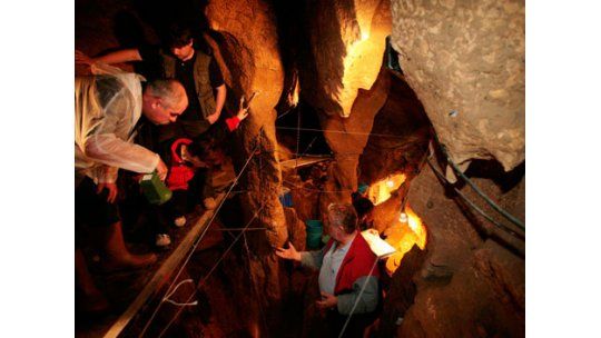 Los neandertales conocían cualidades medicinales de las plantas