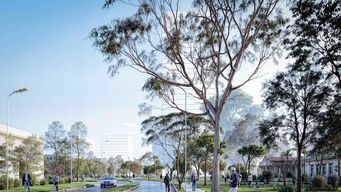 se conocieron imagenes del proyecto que se preve construir en el antiguo predio de facultad de veterinaria