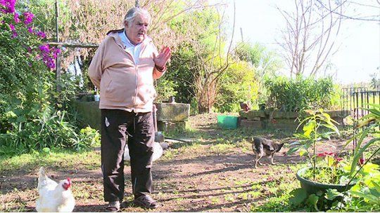 mujica chacra
