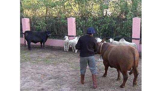 Llegó la esperada semana para el campo: se prepara la Expo Prado
