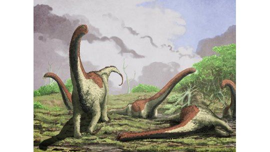Hallan restos de nueva especie de dinosaurio gigante en Tanzania