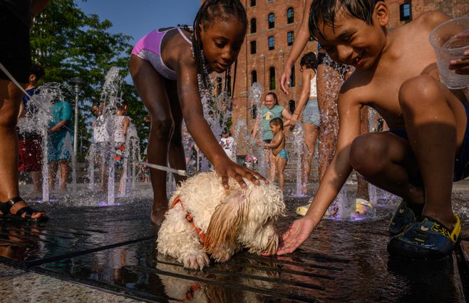 Julio de 2023 es el mes más caluroso de la historia. Foto: Niños y un perro se refrescan en una juego con agua en Nueva York (27 de julio). AFP.