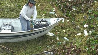 una isla de plastico: mira toda la basura que sacaron del arroyo conventos en cerro largo