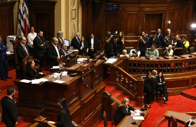 valdomir-asuncion-diputados.jpg