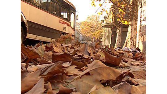 Fin de semana otoñal y libre de lluvias, máximas de 21º a 24º