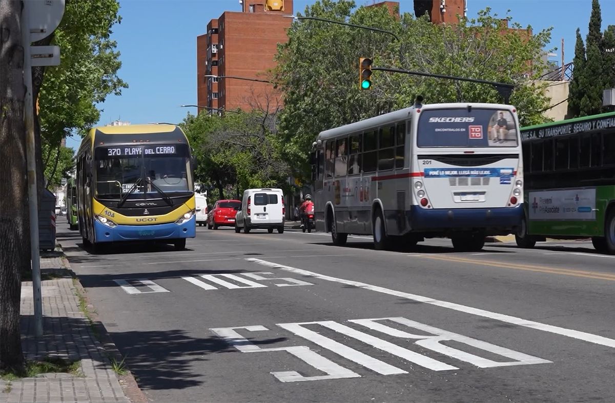 IMM aplica unas 100 multas diarias por uso indebido del carril Solo bus; en marzo medirá velocidad de circulación