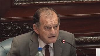 manini rios: ¿que impide que el uruguay entero sea algun dia un gigantesco bosque?