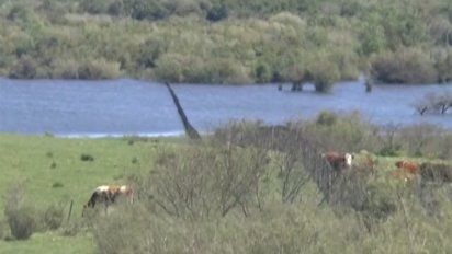 hombre de 70 anos fue asesinado en durazno; su vecino detenido