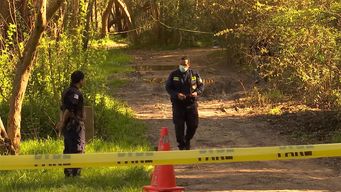 imputaron femicidio al hombre que asfixio a su pareja en parque artigas
