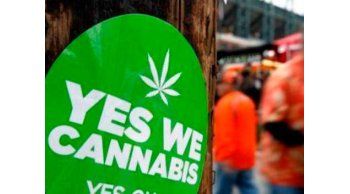 Marihuana libre, matrimonio igualitario y otros 178 temas votados