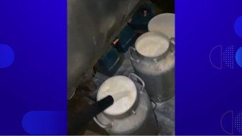 Foto: video en el que un tambero difundió que tuvo que tirar leche.