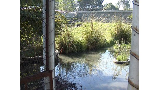 Casas inundadas de aguas servidas en Bella Italia