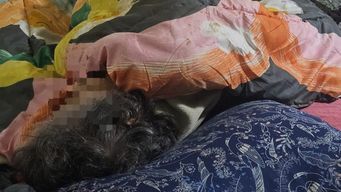 adultos mayores recibian a familiares en residencial que funcionaba como fachada y luego eran llevados al clandestino