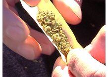 Psiquiatras dicen que la marihuana puede provocar psicosis