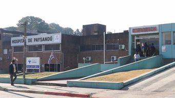 anciana fue rescatada en estado de abandono en paysandu: presenta heridas y deshidratacion