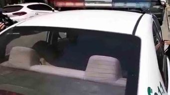 imputaron a un hombre de 34 anos que abusaba sexualmente de una adolescente de 15 anos