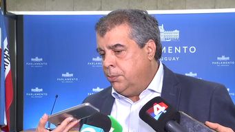 coalicion esta afinando para llegar a acuerdos por la rendicion en el senado, dijo rodrigo blas