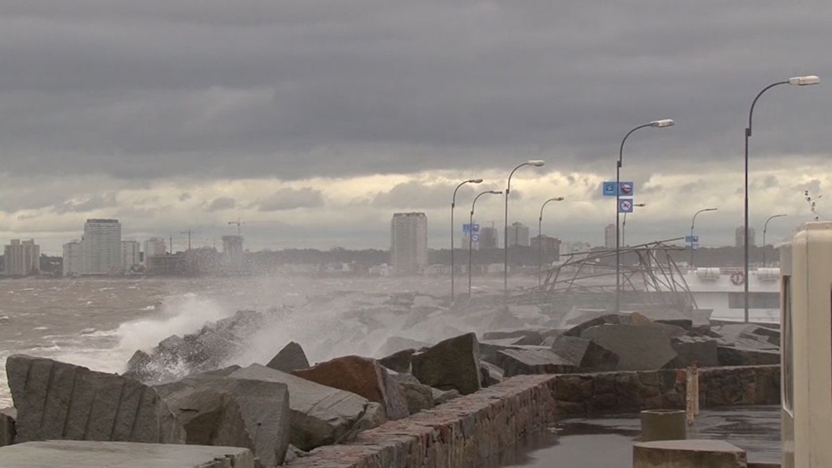 Inumet Extendió La Alerta Por Vientos Fuertes Y Persistentes Para Gran ...