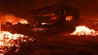 la floresta: incendio controlado pero con muchos puntos calientes