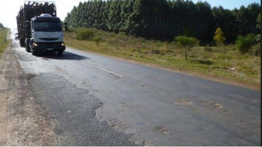 rutas uruguay, forestacion