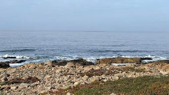 fin de semana con mananas frias y tardes templadas con buena presencia de sol