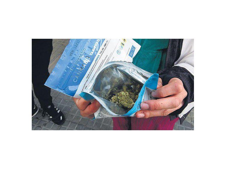 Largas colas ante el inminente regreso de la venta legal de marihuana
